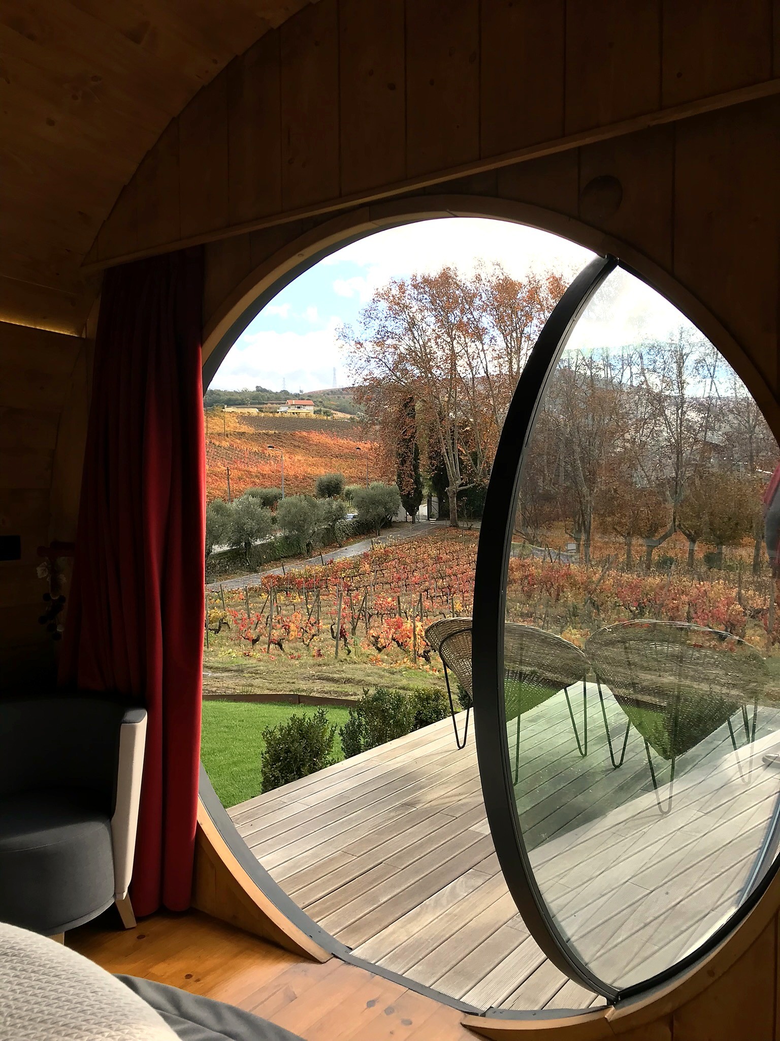 Autumn vineyard view from a wine-barrel stay in Portugal's Douro Valley.